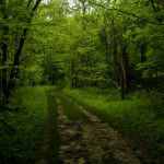 Sugarcreek 12 - 2012