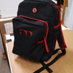 Backpack - 2013