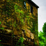 Overgrowth - 2018