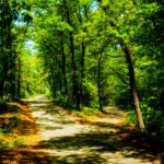 Two Roads - 2018