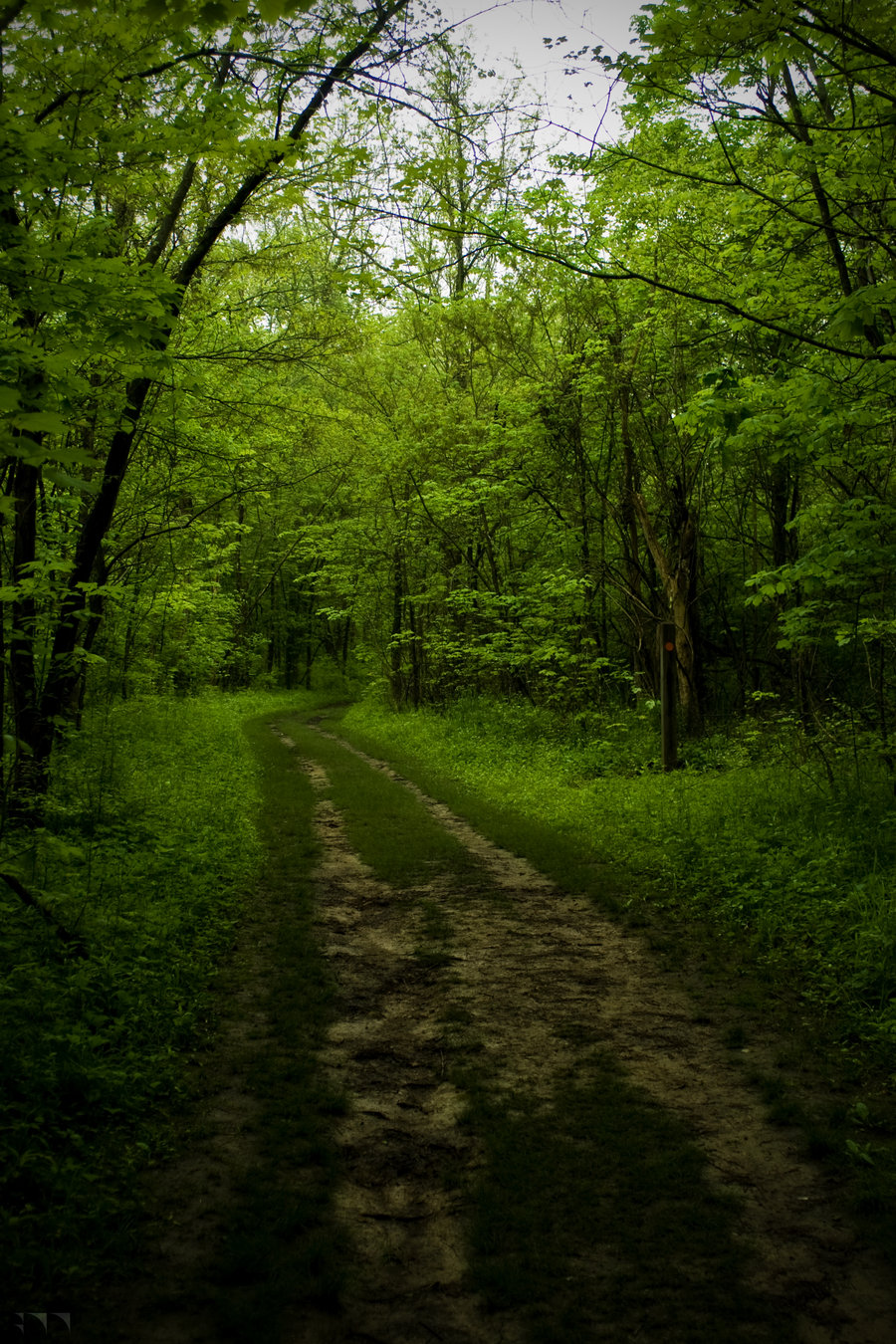 Sugarcreek 12 - 2012