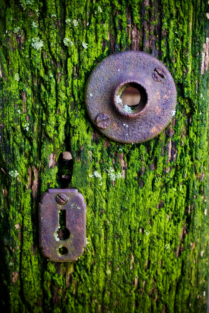 Unlocked - 2016